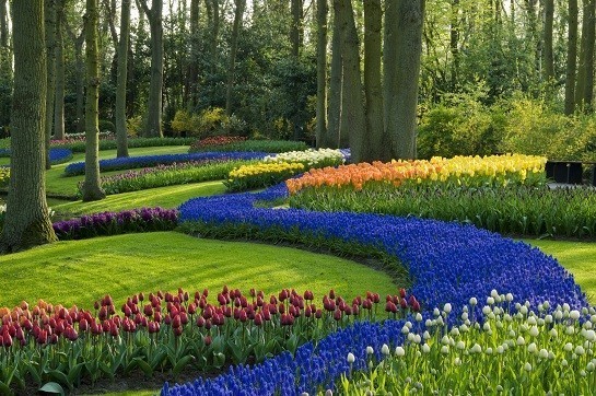 WholesaleFloral.com