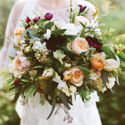 Peony  & Plum