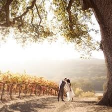 HammerSky Vineyards