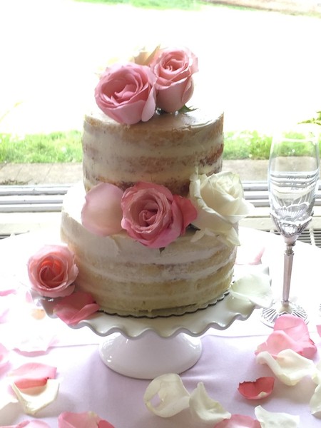 Pink Posy