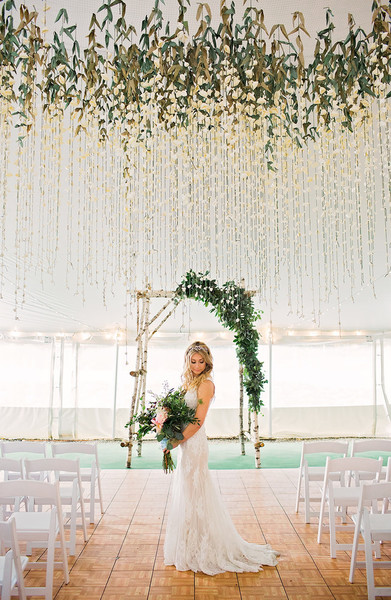 Casey Brodley, Photographer