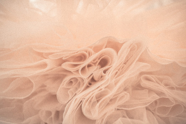 Nicholas Purcell Studio