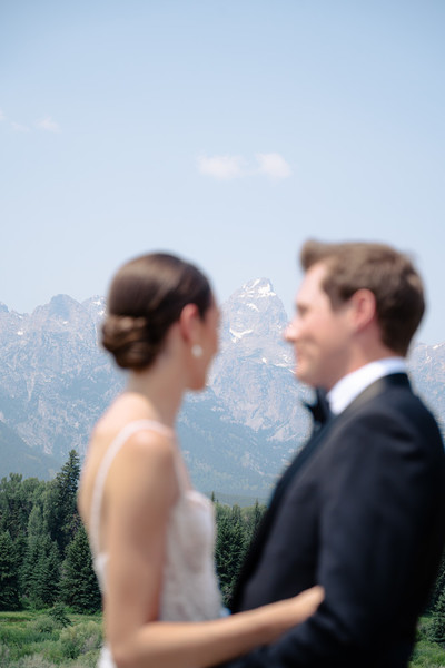 Foxtails Photography